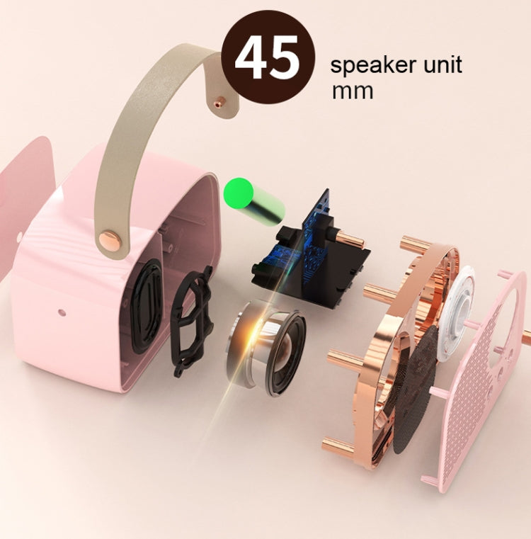 Altoparlante Bluetooth Vintage DW21 con TF e U Disk