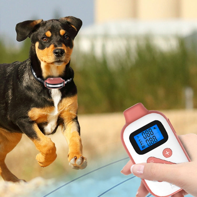 PaiPaitek PD523 Addestratore di cani impermeabile ricaricabile con telecomando da 1000 m, PaiPaitek PD523
