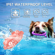 PaiPaitek PD523 Addestratore di cani impermeabile ricaricabile con telecomando da 1000 m, PaiPaitek PD523
