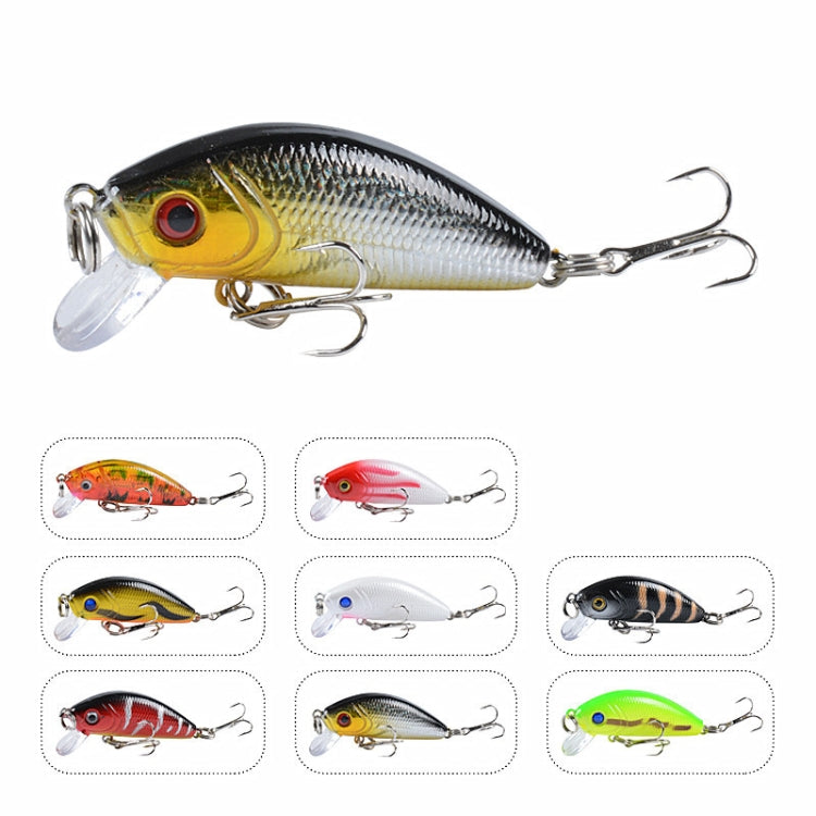 5 PZ M0081 5 cm 3,6 g Bionic Lure Mino Plastic Hard Lure, M0081 1, M0081 2, M0081 3, M0081 4, M0081 5, M0081 6, M0081 7, M0081 8