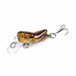 5 PZ LB119 Insect Grasshopper Bionic Bait Esca rigida in plastica verniciata, LB119 1, LB119 2, LB119 3, LB119 4