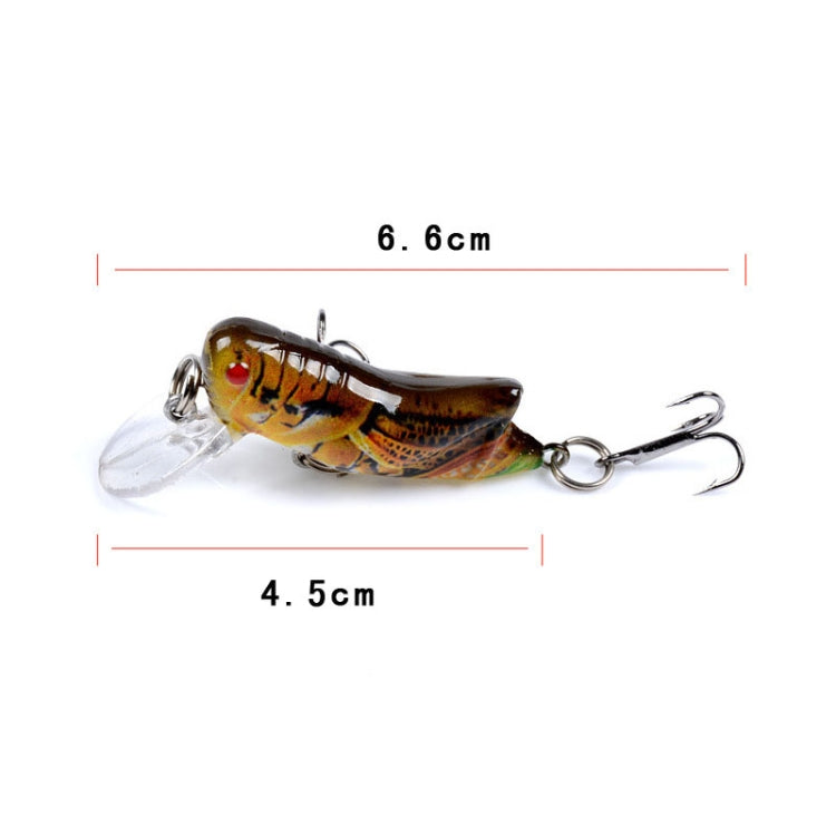5 PZ LB119 Insect Grasshopper Bionic Bait Esca rigida in plastica verniciata, LB119 1, LB119 2, LB119 3, LB119 4