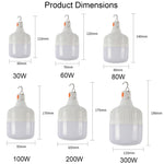 Lampadina LED ricaricabile USB IP67 30-300W