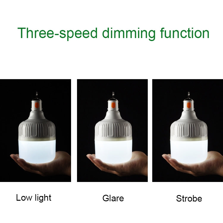 Lampadina LED ricaricabile USB IP67 30-300W