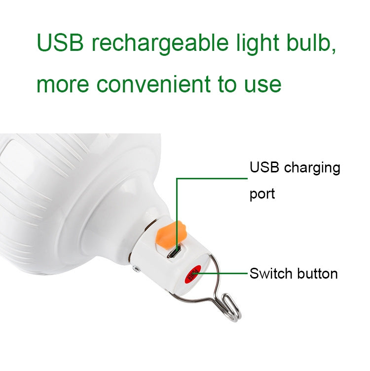 Lampadina LED ricaricabile USB IP67 30-300W