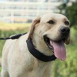 Collare per cani con stimolazione da addestramento staccabile in pasta di nastro di stoffa, M 2.5mm x 35cm, L 3.0mm x 50cm, XL 3.5mm x 55cm, XXL 4.0mm x 60cm