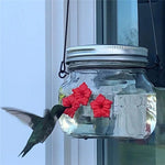 Mangiatoia per uccelli da appendere Mangiatoia per colibrì all'aperto, Jar, Bulb