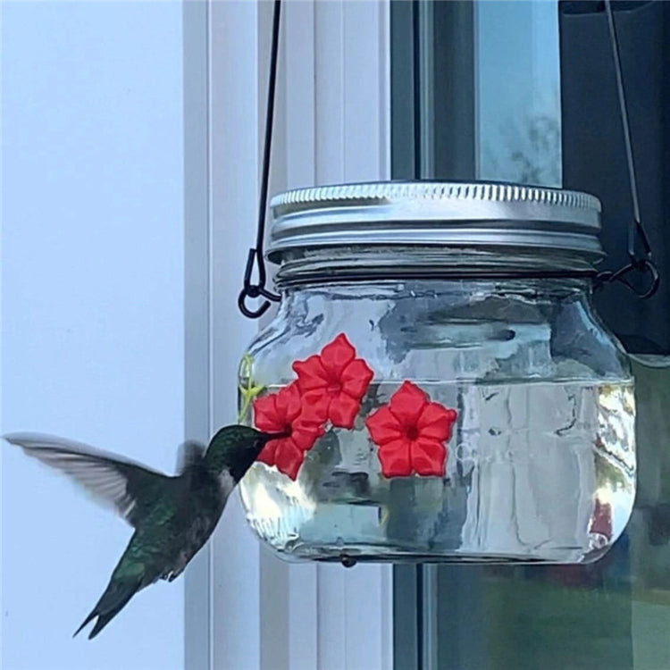 Mangiatoia per uccelli da appendere Mangiatoia per colibrì all'aperto, Jar, Bulb