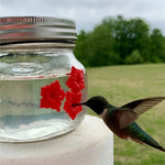 Mangiatoia per uccelli da appendere Mangiatoia per colibrì all'aperto, Jar, Bulb