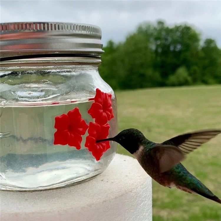 Mangiatoia per uccelli da appendere Mangiatoia per colibrì all'aperto, Jar, Bulb
