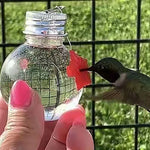 Mangiatoia per uccelli da appendere Mangiatoia per colibrì all'aperto, Jar, Bulb