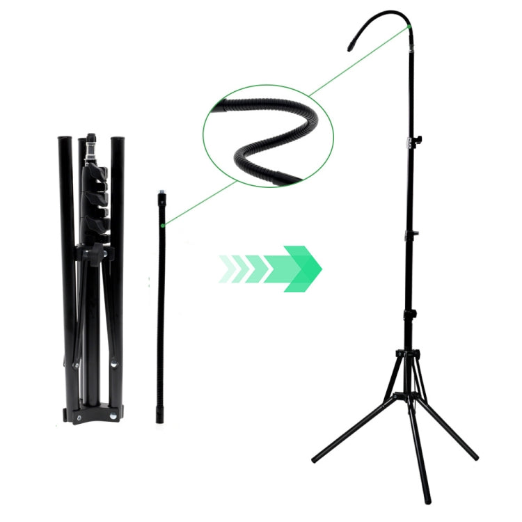 1,6 m Live Photography Light Stand Treppiede anti-pieghevole ispessito, With 30cm Hose
