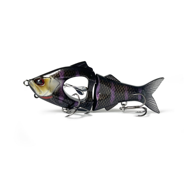 Esche d'acqua dolce per la pesca in mare a più sezioni con spinning ad affondamento lento a lancio lungo, 10g/8.5cm, 23g/11.5cm
