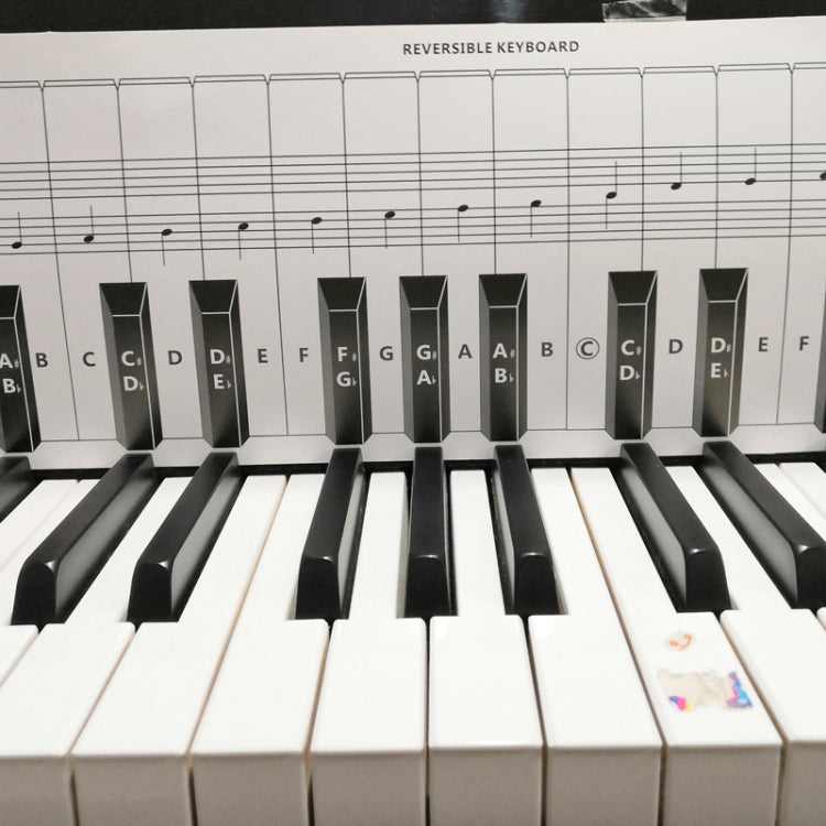 Tabella pratica diteggiatura pianoforte 88 tasti bianca