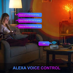 Sfondo del tramonto Telecomando RGB Floor Ambient Projection Light, Bluetooth APP