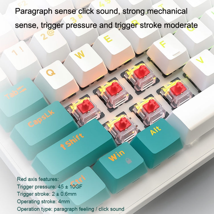 ZIYOU LANG K3 100 Tasti Gioco Tastiera meccanica cablata incandescente, lunghezza cavo: 1,5 m, stile:, K3 Micro Light Version Green Axis, K3 Micro Light Version Red Axis, K3 Water Green Version Green Axis, K3  Water Green Version Red Axis��������������...