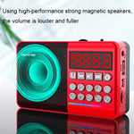 Altoparlante Bluetooth TEMEIYIN con display LED