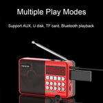 Altoparlante Bluetooth TEMEIYIN con display LED