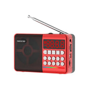 Altoparlante Bluetooth TEMEIYIN con display LED