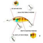 2pcs Laser interno Deep Dive Pesca in mare Rock Fat Esca finta Esca rigida in plastica, 2pcs CB033/A, 2pcs CB033/B, 2pcs CB033/C, 2pcs CB033/D, 2pcs CB033/E, 2pcs CB033/F, 2pcs CB033/G, 2pcs CB033/H, 2pcs CB034/A, 2pcs Cb034/B, 2pcs CB034/C, 2pcs CB034...