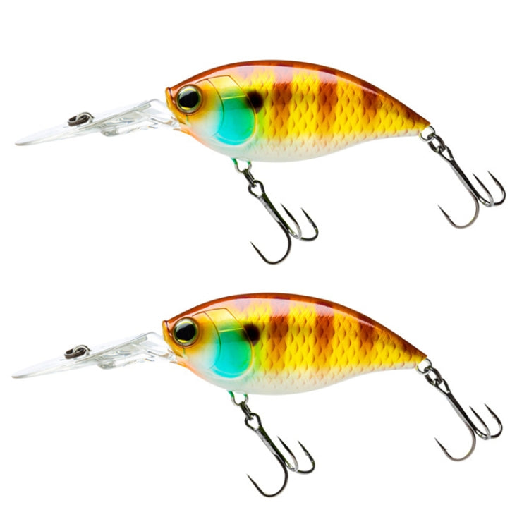 2pcs Laser interno Deep Dive Pesca in mare Rock Fat Esca finta Esca rigida in plastica, 2pcs CB033/A, 2pcs CB033/B, 2pcs CB033/C, 2pcs CB033/D, 2pcs CB033/E, 2pcs CB033/F, 2pcs CB033/G, 2pcs CB033/H, 2pcs CB034/A, 2pcs Cb034/B, 2pcs CB034/C, 2pcs CB034...
