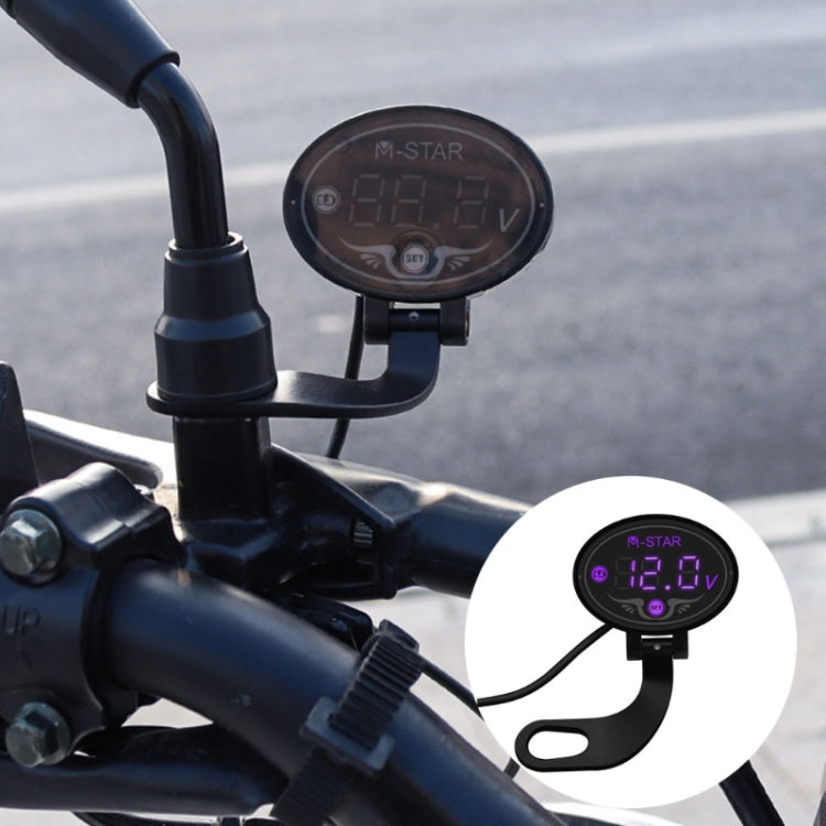 Misuratore tensione batteria moto YL-M01 con LED
