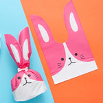 Sacchetto regalo cartone con orecchie coniglio 10x17cm