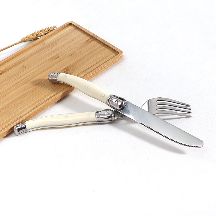 Coltello, forchetta, cucchiaio in acciaio inossidabile, manico in plastica, stoviglie occidentali, 3 In 1, 4 In 1, 6 Knives, 6 Forks, 6 Spoons, 6 Tea Spoons