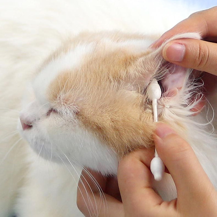 2 scatole di tamponi di cotone per animali domestici Prodotti per la pulizia dell'orecchio di cani e gatti, Pet Cotton Swabs