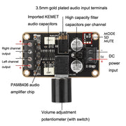 PAM8406 DIY Digital Power Amplifier Board Small Speaker 5W+5W Dual Channel Stereo Amplifier Module Doco Ding 5V, PAM8406 Chip