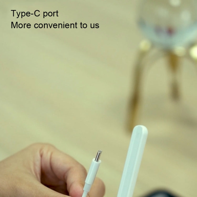Cavo di ricarica magnetico per Apple Pencil 2 USB-C
