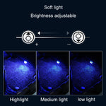 Modifica dell'auto Luce colorata dell'atmosfera del telecomando senza fili, 1 Light +1 RC, 2 Lights +1 RC, 4 Lights +1 RC, 8 Lights +1 RC