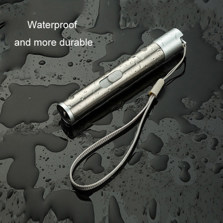 3 in 1 torcia ricaricabile USB penna laser a infrarossi rilevatore di valuta lampada, Silver