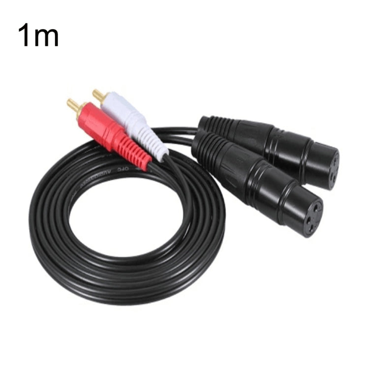 Cavo di bilanciamento audio Canon da 2RCA a 2XLR, 0.5m, 1m, 1.5m, 3m