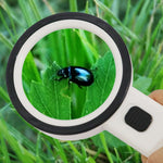 Lente d'ingrandimento portatile 30X con luce LED 80mm