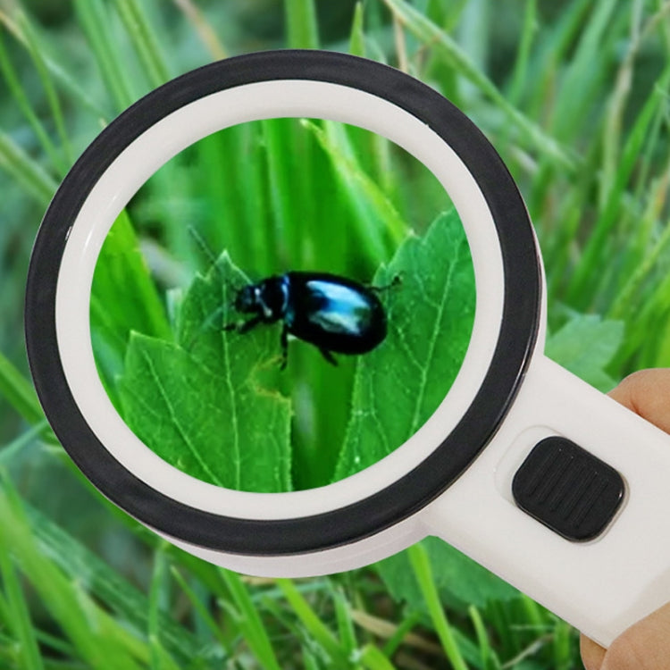 Lente d'ingrandimento portatile 30X con luce LED 80mm