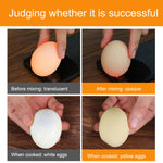 Agitatore manuale per la miscelazione di tuorlo d'uovo bianco d'uovo per uso domestico, Egg Whisker