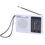Altoparlante portatile con radio FM AM BAIJIALI BJL228