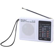 Altoparlante portatile con radio FM AM BAIJIALI BJL228