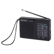Altoparlante portatile con radio FM AM BAIJIALI BJL228