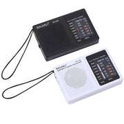 Altoparlante portatile con radio FM AM BAIJIALI BJL228