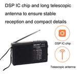 Altoparlante portatile con radio FM AM BAIJIALI BJL228