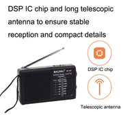 Altoparlante portatile con radio FM AM BAIJIALI BJL228