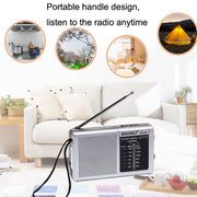 Altoparlante portatile con radio FM AM BAIJIALI BJL228