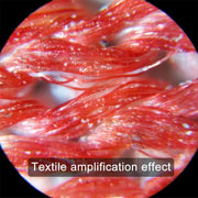 MG10081-1 Microscopio tascabile a luce LED con lente d'ingrandimento regolabile 60-100X, Without Clip