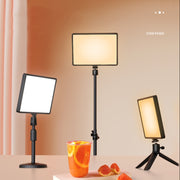 Luce di riempimento LED 10 pollici 3000-6500K per fotografia