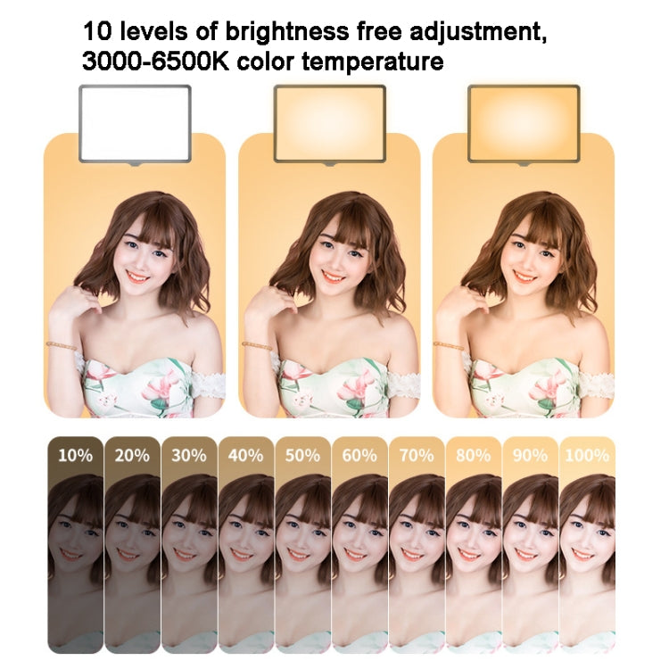 Luce LED 10 pollici 3000-6500K per fotografia con staffa