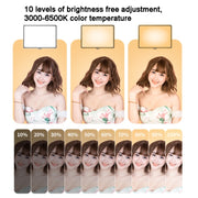 Luce di riempimento LED 10 pollici 3000-6500K per fotografia