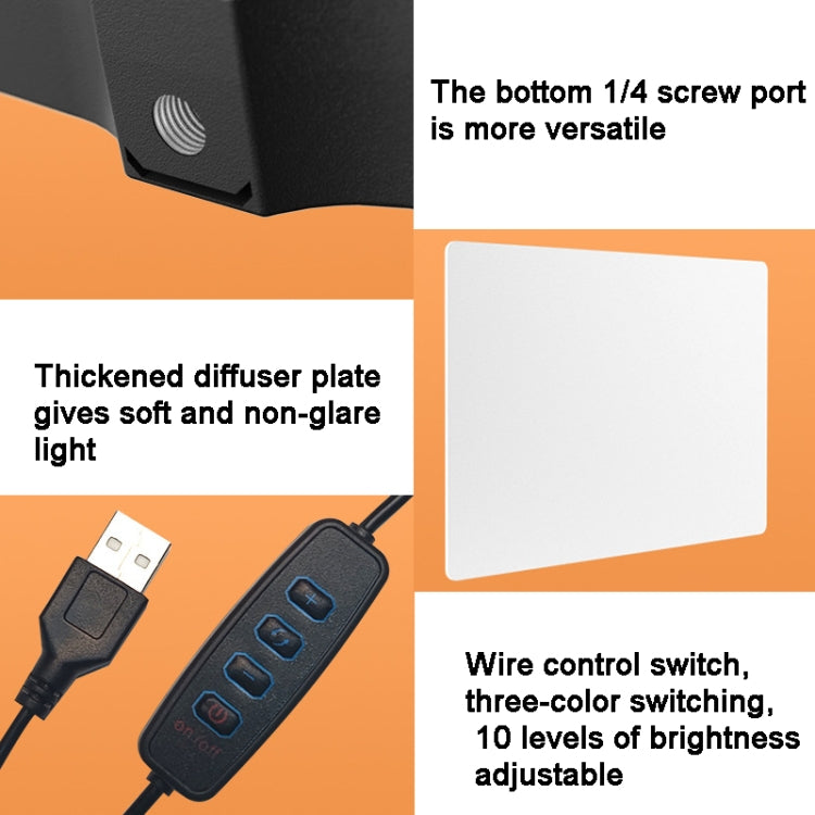 Luce LED 10 pollici 3000-6500K per fotografia con staffa