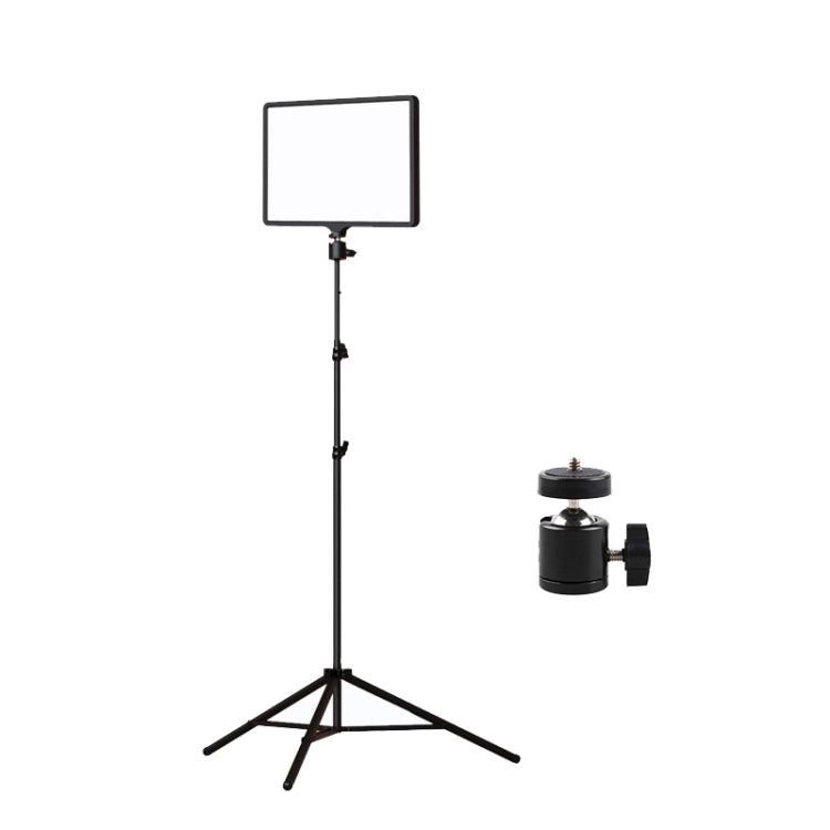 Luce LED 10 pollici 3000-6500K per fotografia con staffa